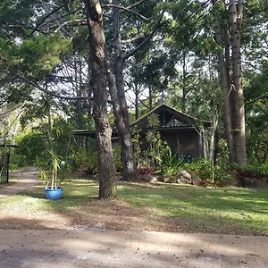Rainforest Byron Bay