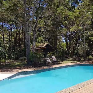 Rainforest Byron Bay